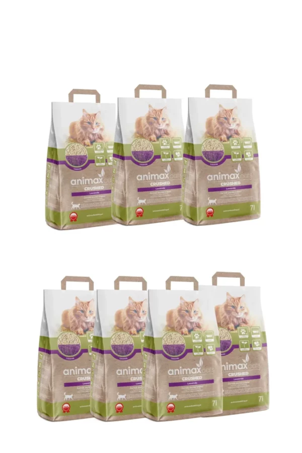 Lawenda-7-szt- Lawenda-7-szt-