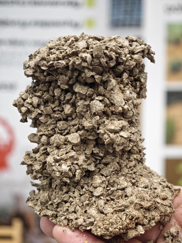 1733736752945 1733736752945