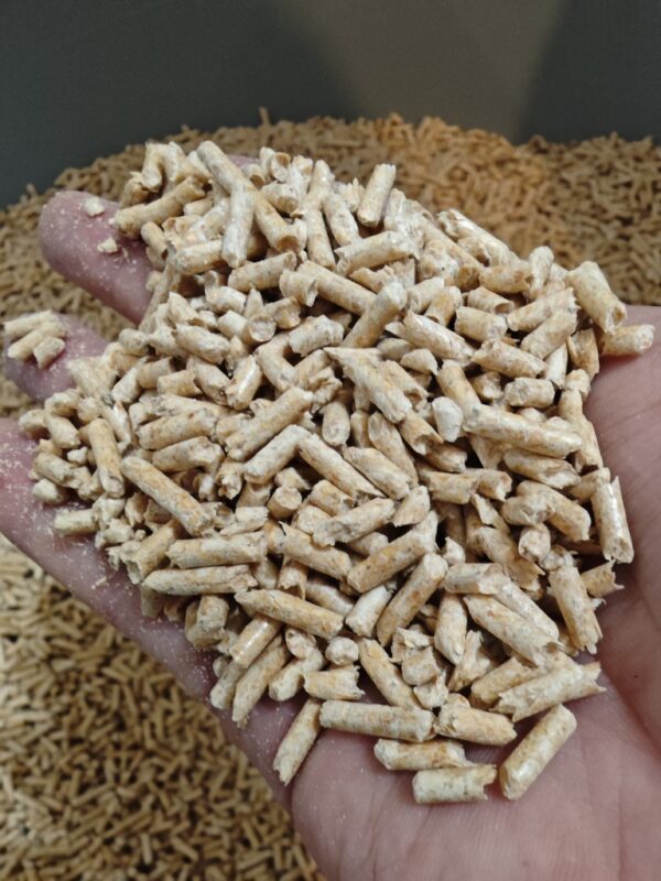 1725624300844 1725624300844