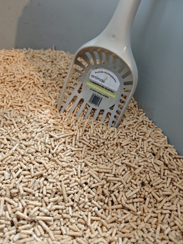 1725624300880 1725624300880