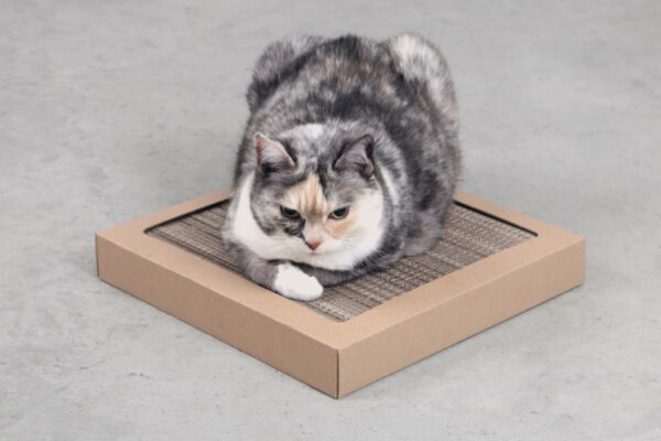 2023_02_28_4133 2023_02_28_4133