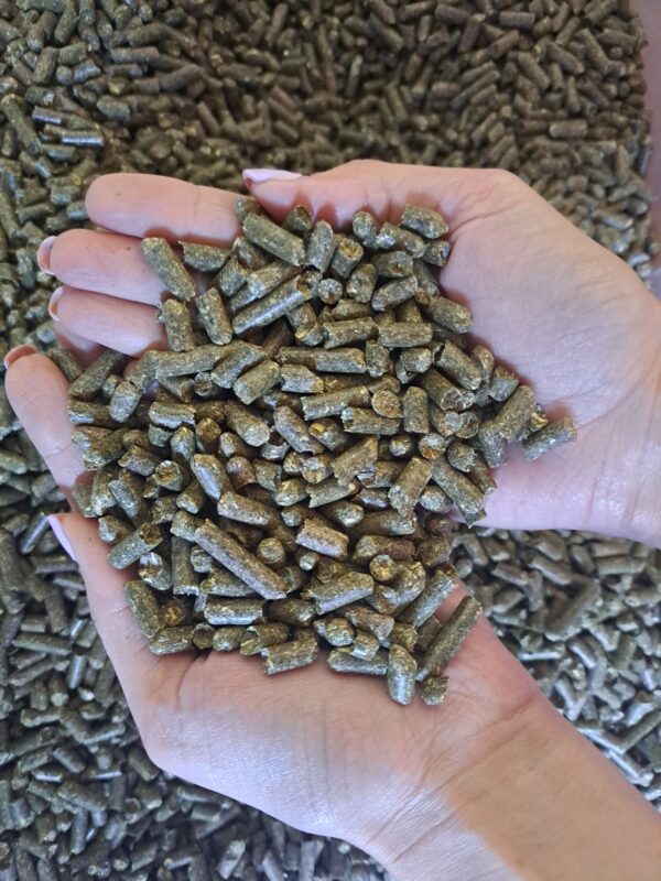 20240617_115648 20240617_115648