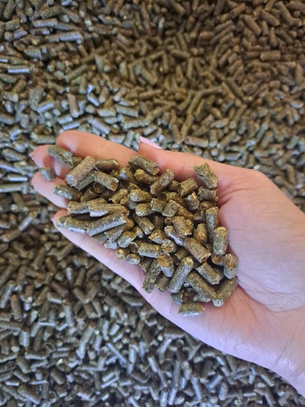 20240617_115702 20240617_115702