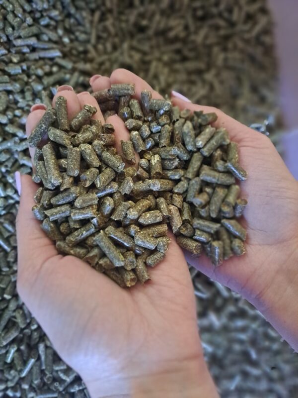 20240617_115715 20240617_115715