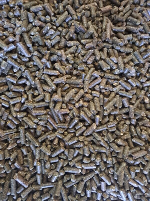 20240617_115729 20240617_115729