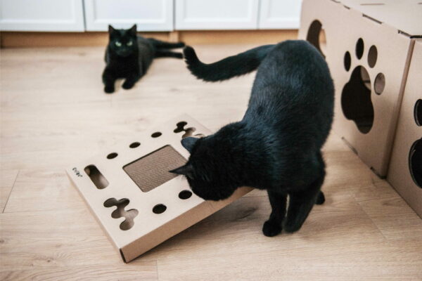 Artboard22 Artboard22