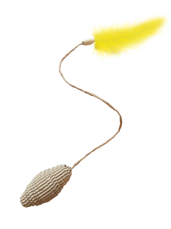 SZYSZKA_z_PIORKIEM SZYSZKA_z_PIORKIEM