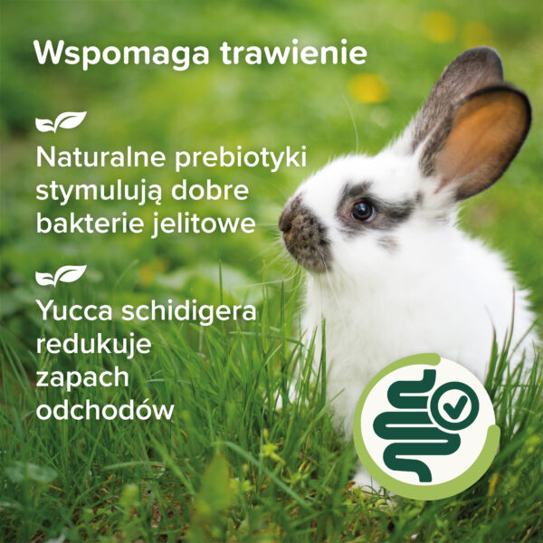 1000309 Ecommerce Care+ Nature_Rabbit_PL_2025_06 1000309 Ecommerce Care+ Nature_Rabbit_PL_2025_06