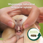 1000410 Ecommerce Care+ Nature_Guine pig_PL_2025_07