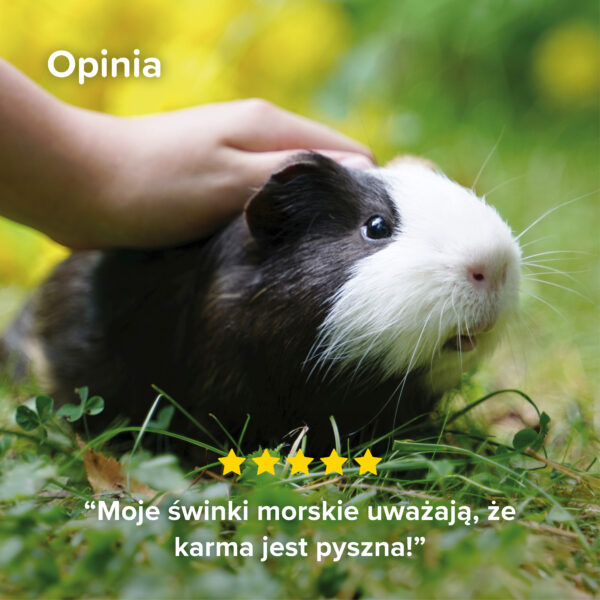 1000410 Ecommerce Care+ Nature_Guine pig_PL_2025_08 1000410 Ecommerce Care+ Nature_Guine pig_PL_2025_08