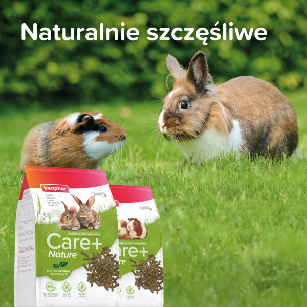 1000410 Ecommerce Care+ Nature_Guine pig_PL_2025_09 1000410 Ecommerce Care+ Nature_Guine pig_PL_2025_09